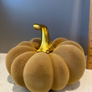 Velvet Pumpkin Decor with Gold Stem